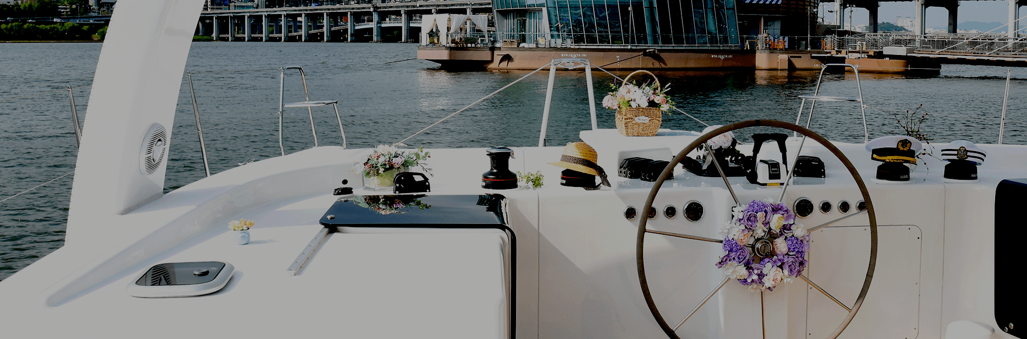 스페셜 프로그램 선택